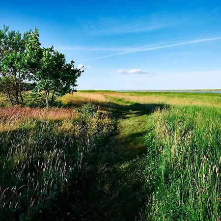 Feriehus 4 Person In Hals-by Traum