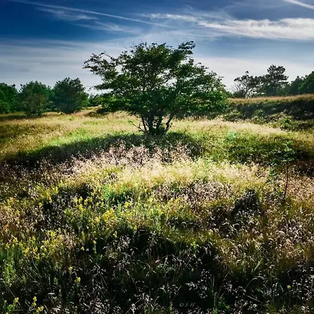 Feriehus 4 Person In Hals-by Traum *