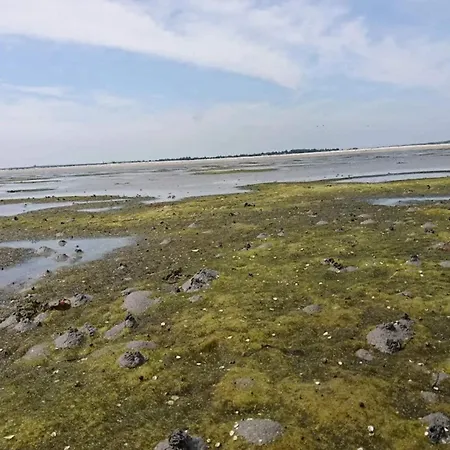 4 Person In Hals-by Traum Feriehus Hals