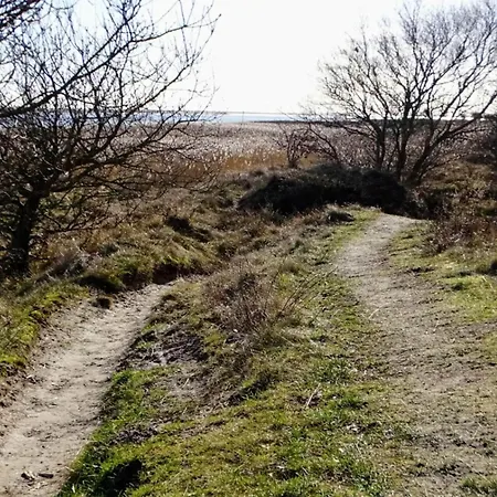 Feriehus 4 Person In Hals-by Traum Hals