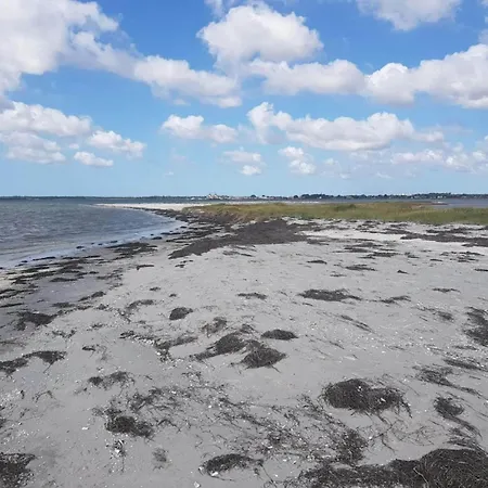 4 Person In Hals-by Traum