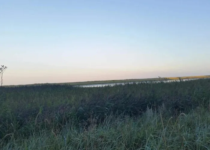 4 Person In Hals-by Traum Hals