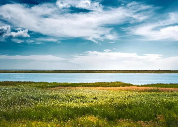 4 Person In Hals-by Traum *