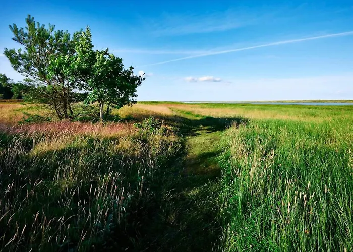 Сasa de vacaciones 4 Person In Hals-by Traum