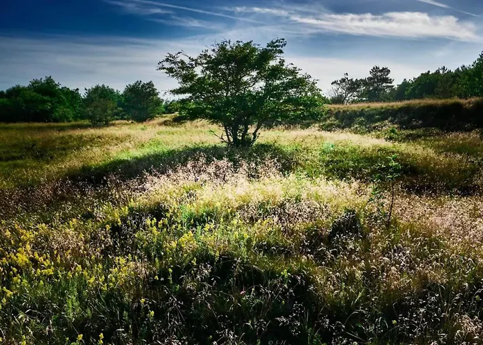 Сasa de vacaciones 4 Person In Hals-by Traum *