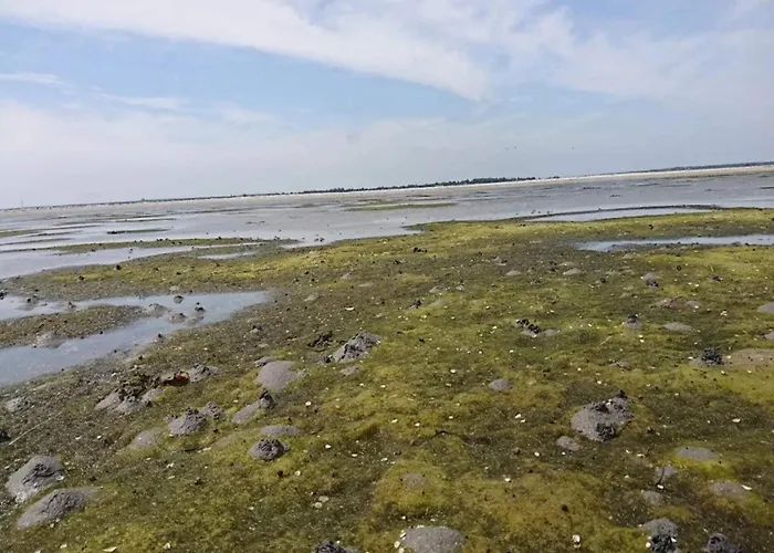 4 Person In Hals-by Traum Сasa de vacaciones Hals