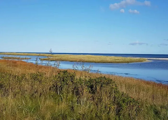 4 Person In Hals-by Traum Hals